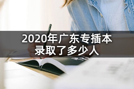 2020年广东专插本录取了多少人