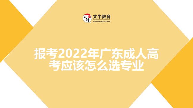 报考2022年广东成人高考应该怎么选专业