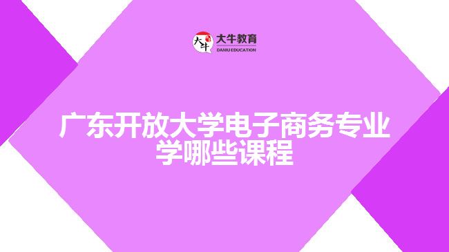 广东开放大学电子商务专业学哪些课程