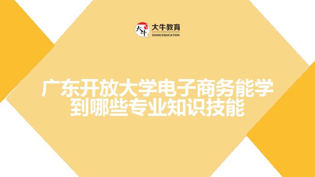 广东开放大学电子商务能学到哪些专业知识技能