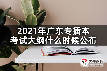 2021年广东专插本考试大纲什么时候公布