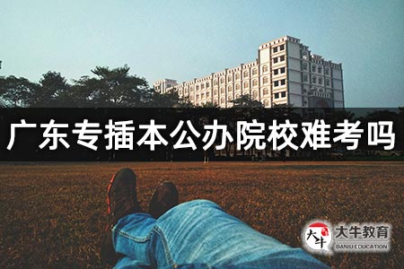 广东专插本公办院校难考吗