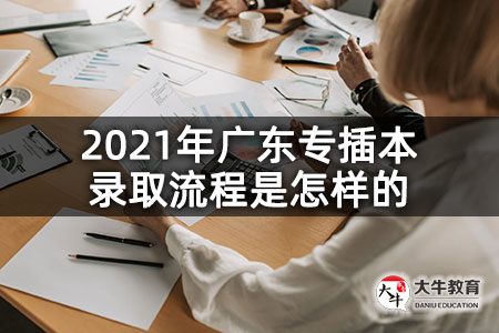 2021年广东专插本录取流程是怎样的
