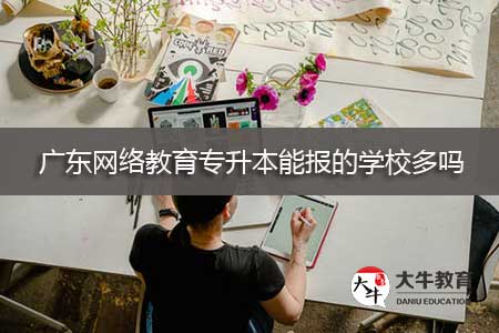 广东网络教育专升本能报的学校多吗
