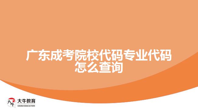 广东成考院校代码专业代码怎么查询