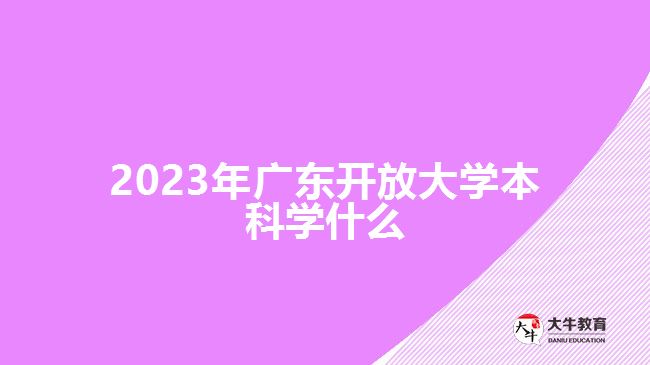 2023年广东开放大学本科学什么