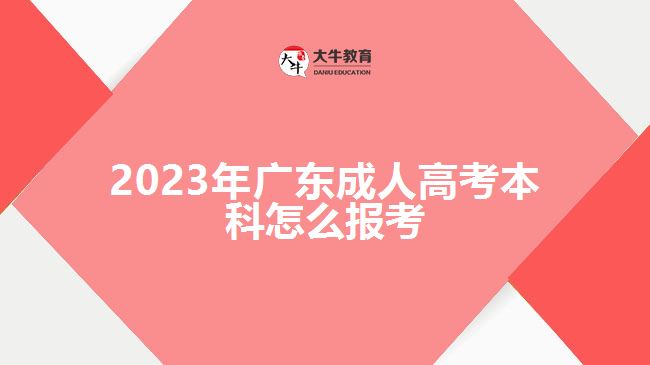 2023年广东成人高考本科怎么报考