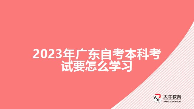 2023年广东自考本科考试要怎么学习