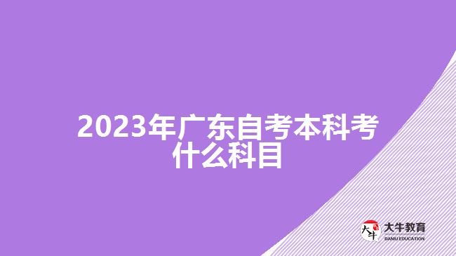 2023年广东自考本科考什么科目